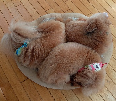 DSCF9577.jpg