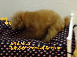 DSCF9586.JPG
