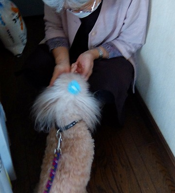 DSCF9601.jpg
