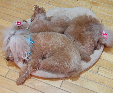 DSCF9602.jpg