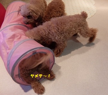 DSCF9624.jpg