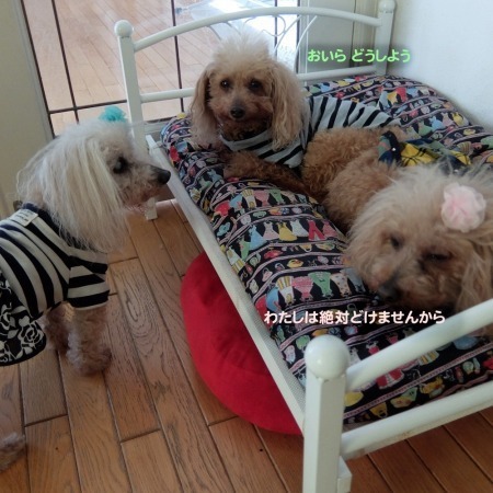 DSCF9667.jpg