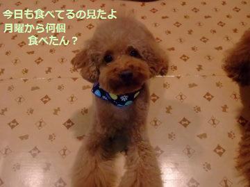 DSCF9672.JPG