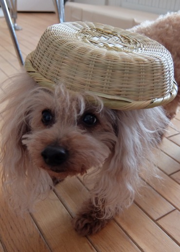 DSCF9799.jpg