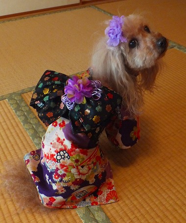 DSCF98761.jpg