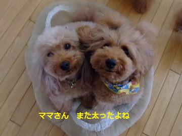 DSCF9906.JPG