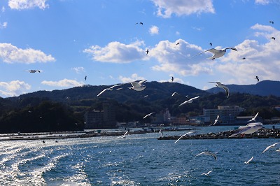 IMG_5679.jpg