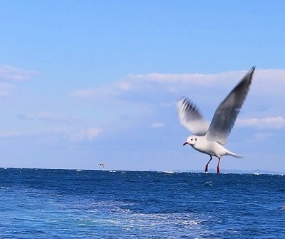 IMG_57111.jpg