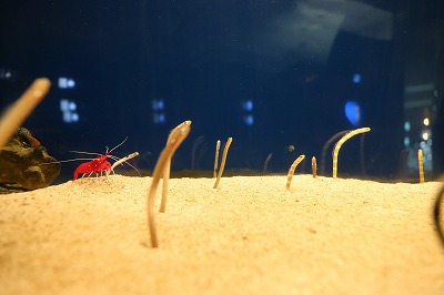 IMG_5871.jpg