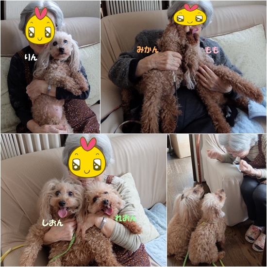 page.jpg