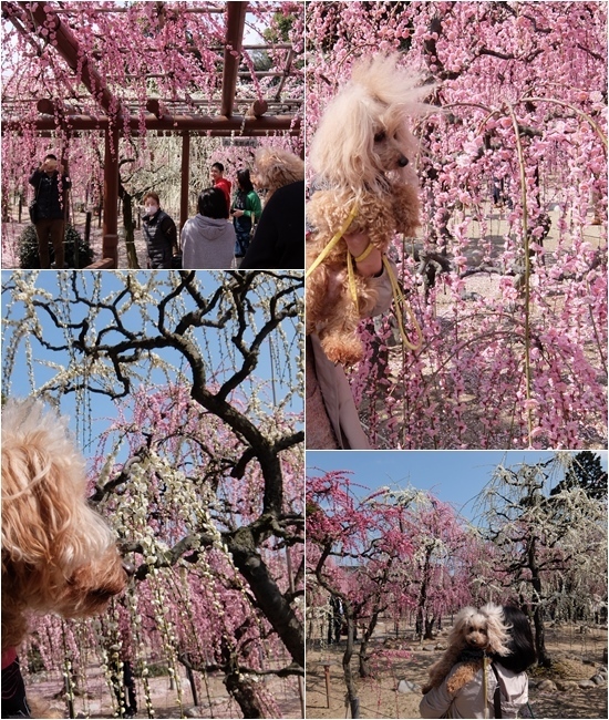 page10.jpg