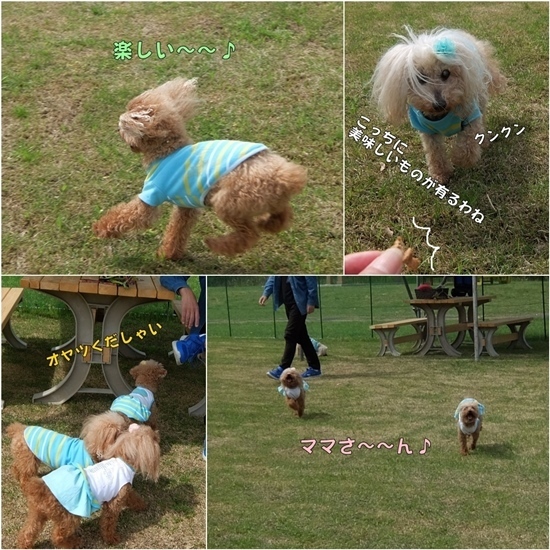 page2.jpg