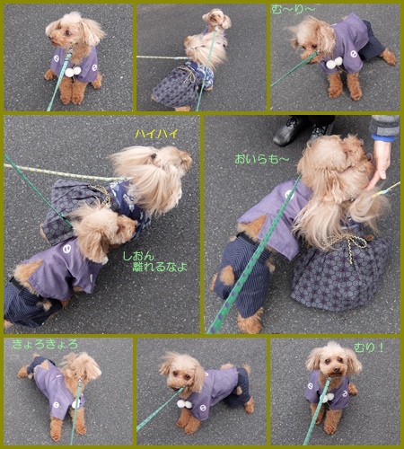 page3.jpg