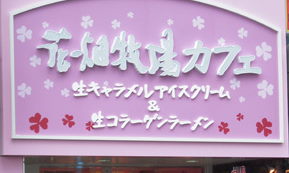 top.jpg